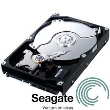 SEAGATE 250GB 7200Rpm S-ATA III
